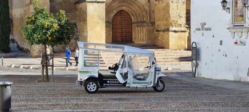 Córdoba: Guided City Tour by Tuk-Tuk - Crossing the Roman Bridge and Exploring the Alcázar