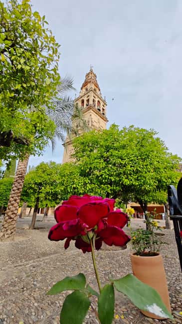 Córdoba: Guided experience in the Cathedral Mosque - The Experience of a Fun and Educational Tour