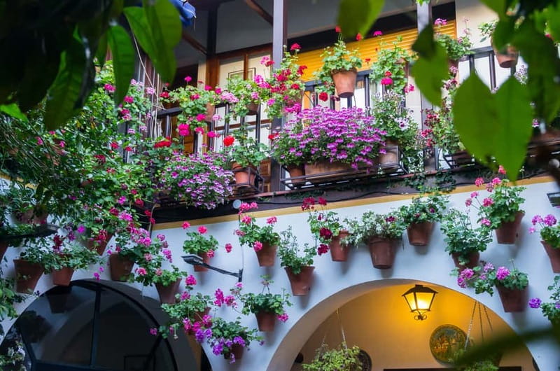 Córdoba: Guided tour in Spanish to the courtyards of Córdoba - Key Points