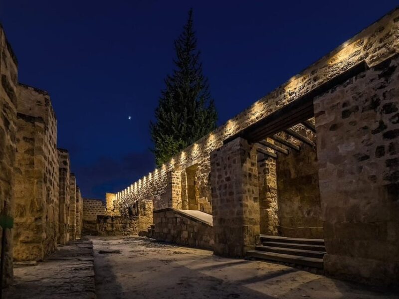 Cordoba: Guided Tour of Medina Azahara at Night - The Guide’s Role in Making the Tour Special