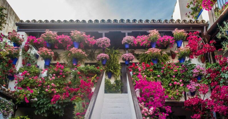 Córdoba: Guided Tour of the Patios - Visiting Córdoba’s UNESCO-Listed Patios