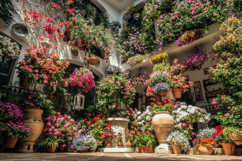 Córdoba: Guided Tour of the Patios - Practical Tips for the Tour