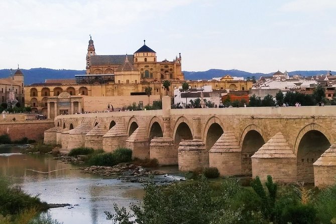 Córdoba Highlight Walking Tour - The Guide’s Style and Knowledge