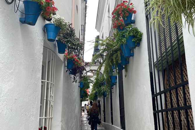 Cordoba Highlights Private Walking Tour - Discover the Charm of Cordoba on a Private Walking Tour for $115.77