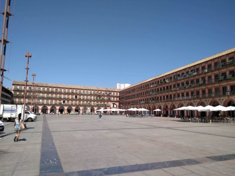 Córdoba Highlights Walking Tour - Insights from a Professional Local Guide