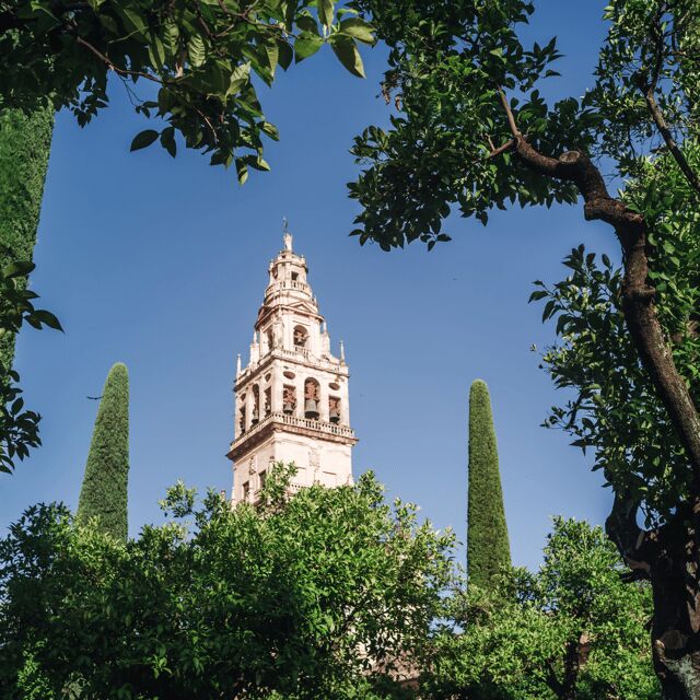 Córdoba Monumental desde la Costa del sol - The Sum Up: An Efficient Way to Experience Córdoba’s Heritage