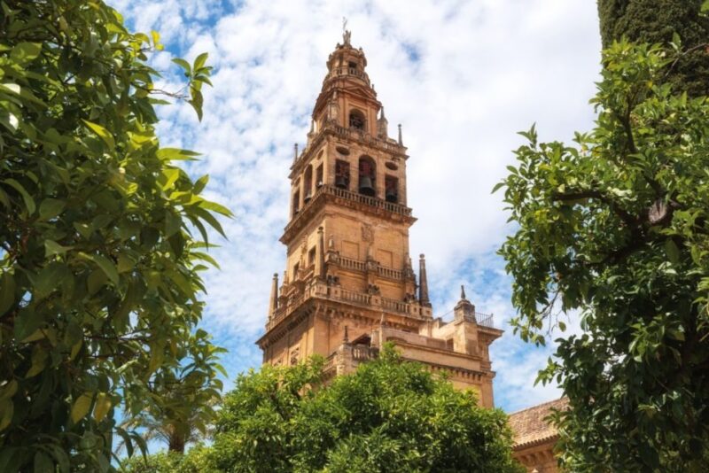 Córdoba: Mosque-Cathedral & Alcazar Guided Tour - Who Will Appreciate This Tour Most