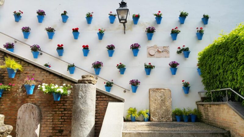 Cordoba: Mosque-Cathedral and Jewish Quarter Guided Tour - Comparing Similar Tours