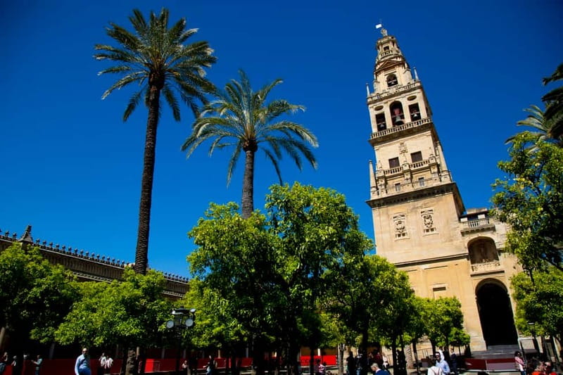 Córdoba: Mosque-Cathedral, Jewish Quarter and Alcázar Tour - Why This Tour Stands Out in Córdoba