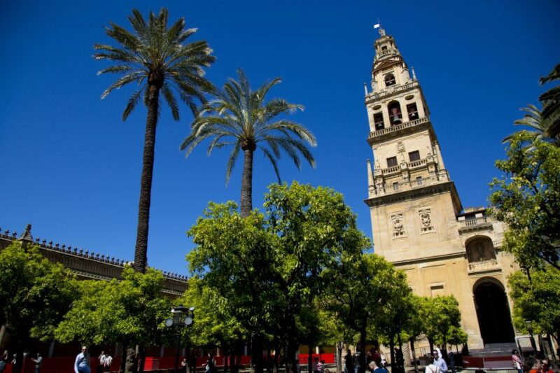 Cordoba: Mosque-Cathedral & Jewish Quarter Private Group - Practical Details and Accessibility