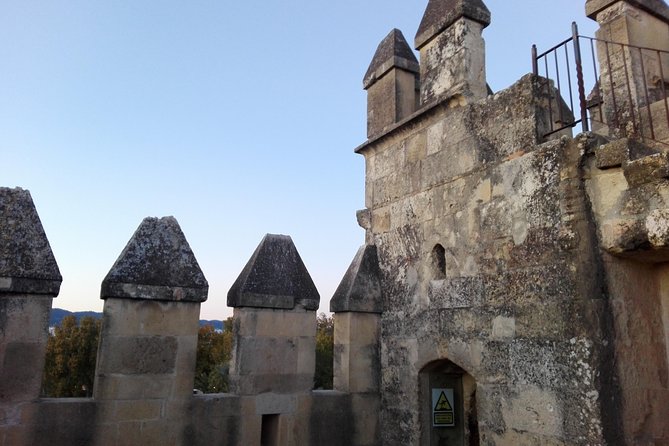 Cordoba Mosque Skip The Line - Comparing This Tour to Other Cordoba Mosque Experiences