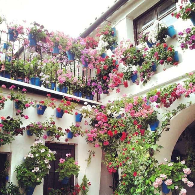 Córdoba Patio Competition: A unique experience of flowers and tradition. - Key Points