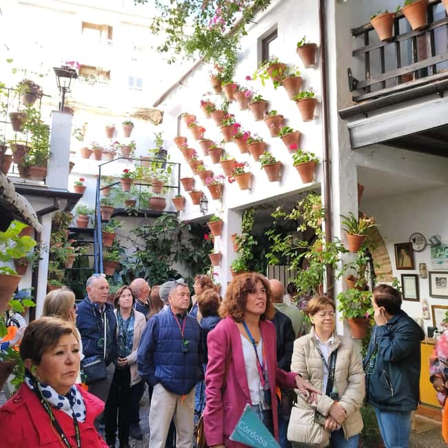 Córdoba Patio Competition: A unique experience of flowers and tradition. - Visiting the Most Notable Patios and Neighborhoods