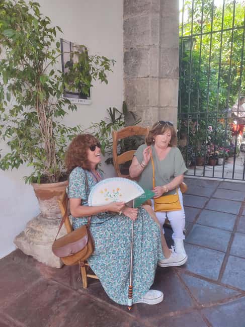 Córdoba Patio Competition: A unique experience of flowers and tradition. - The Festive Atmosphere of Córdoba During May