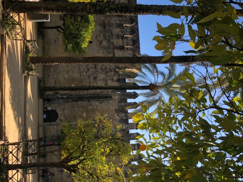 Córdoba: Private Bike Highlights Tour with Personal Guide - Customizable Route and Flexible Scheduling