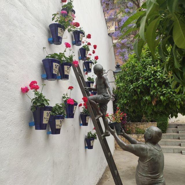 Córdoba: Private Bike Highlights Tour with Personal Guide - Who Will Appreciate This Tour Most