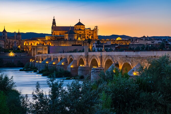 Cordoba Private Daytrip from Sevilla by Train - What Sets This Tour Apart From Others