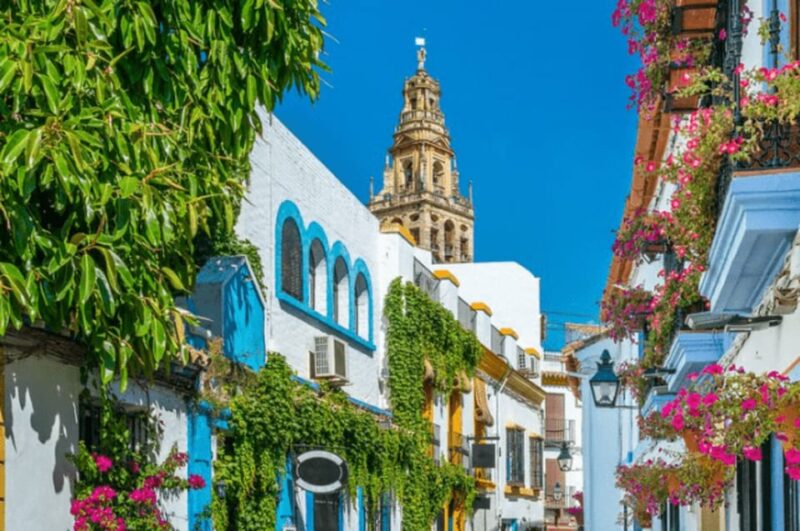 Cordoba Private Daytrip from Sevilla by train - Traveling Quickly and Comfortably to Cordoba