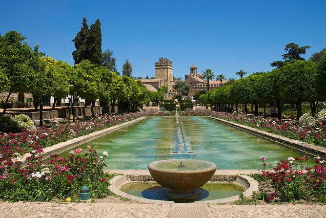 Cordoba private tour from Granada for up to 8 persons including the great Mosque - Flexibility and Personalization of the Tour Schedule