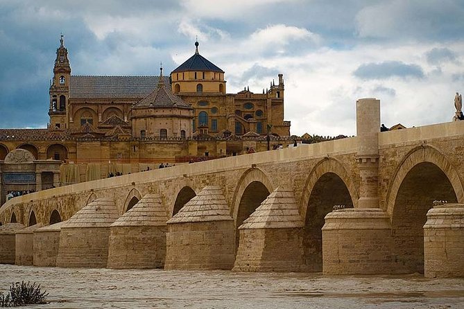 Cordoba private tour from Seville including the great Mosque for up to 8 persons - Key Points