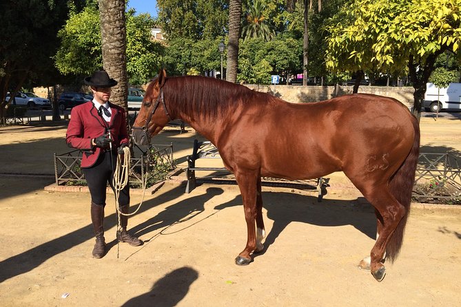 Cordoba Private Tour with Mosque Entrance from Seville - Return Journey with Guided Commentary