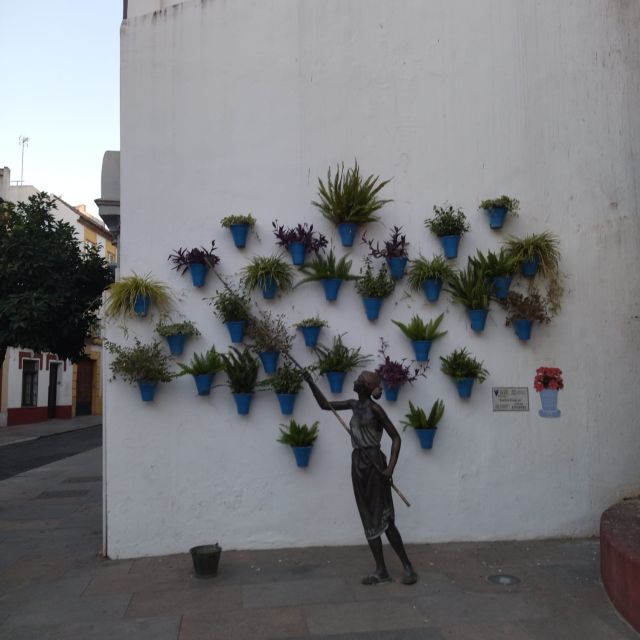 Córdoba: Running tour - Practical Details: What to Bring and Who It’s For