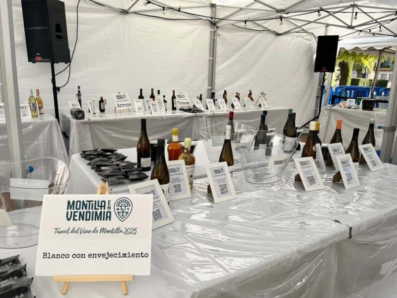 Córdoba: Self-Guided Wine Tasting Experience - Purchase Options and Take-Home Bottles