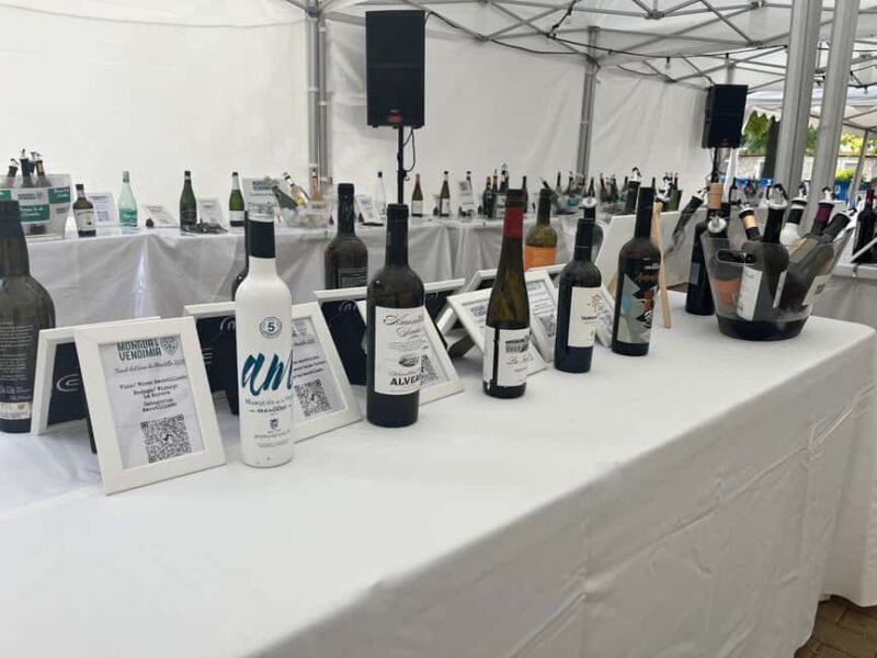 Córdoba: Self-Guided Wine Tasting Experience - The Venue and Location in Córdoba