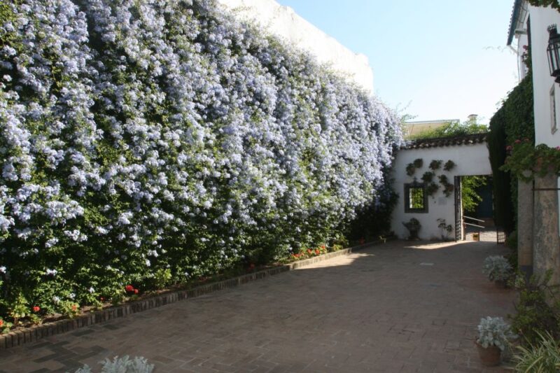 Córdoba: Viana Palace Gardens and Patios Entry Ticket - Key Points