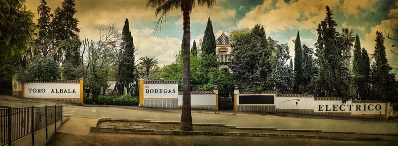 Córdoba: Visit and Tasting of Montilla-Moriles Wine at Bodegas Toro Albalá - Discover the Unique Charm of Bodegas Toro Albalá in Aguilar de la Frontera