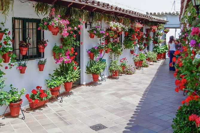 Cordoba's Authentic Patios: 2-Hour Tour with Tickets - Starting Point and Meeting Details in Cordoba