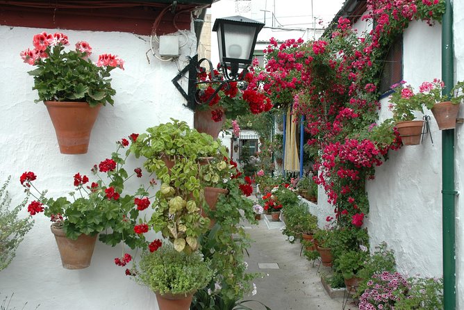 Cordoba's Authentic Patios: 2-Hour Tour with Tickets - The Value of the Tour