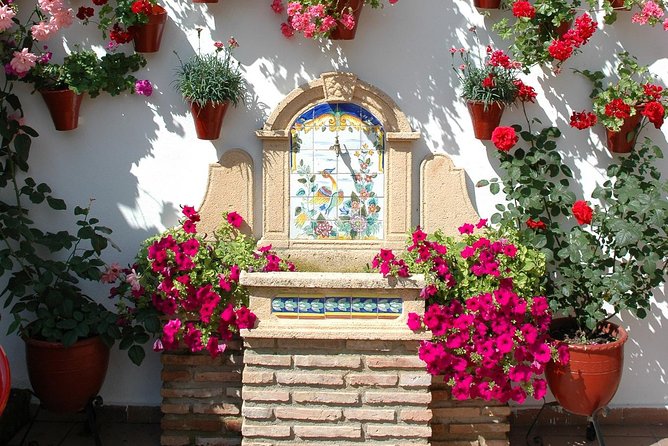 Cordoba's Authentic Patios: 2-Hour Tour with Tickets - Comparing with Other Cordoba Tours
