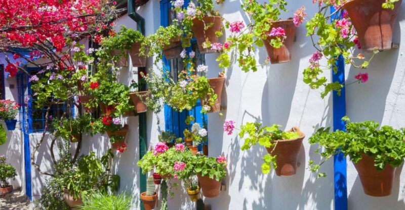 Cordoba's Authentic Patios: 2-Hour Tour with Tickets - Visit Five Private Patios in the San Basilio Neighborhood