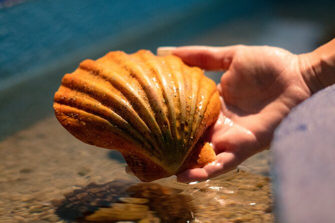 Corfu Aquarium Ticket with Tour Included - Accessibility and Practicalities