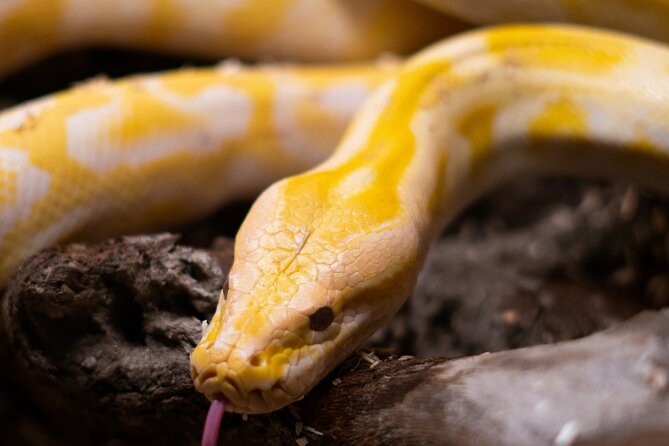 Corfu Aquarium Ticket with Tour Included - Comparing This Tour to Similar Experiences