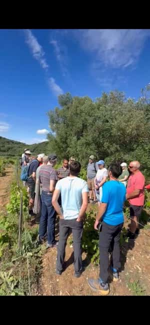 Corfu behind the scenes - A Journey Through South Corfu - Olive Mill Museum: Tracing the Roots of Olive Oil Heritage