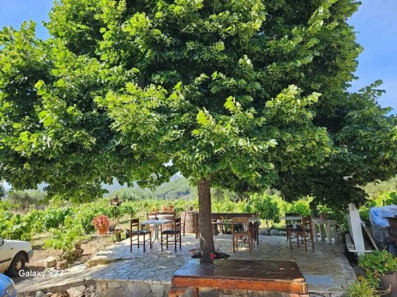 Corfu behind the scenes - A Journey Through South Corfu - Refreshing Swim at Marathias Beach