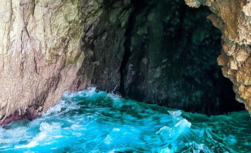 Corfu: Bus Trip & Swim to Paleokastritsa & Olive Oil Museum - Tour of the Enotis Olive Oil Museum and Tasting Experience