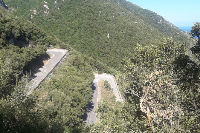 Corfu by bike: Countryside, Forests and Villages - Final Thoughts on Corfu by Bike: Countryside, Forests, and Villages