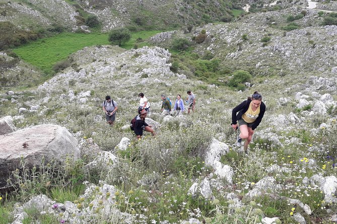 Corfu Countryside Hiking Tour - What’s Included: Snacks, Water, and Expert Guidance