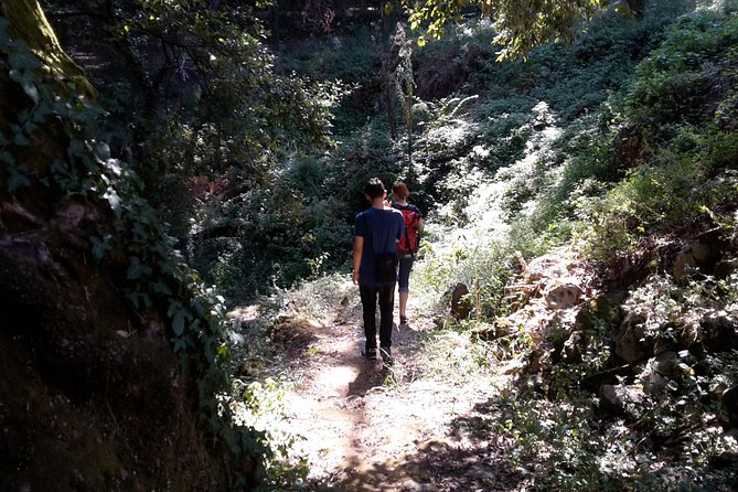 Corfu Countryside Hiking Tour - Discovering Corfu’s Waterfalls and Coastal Vistas