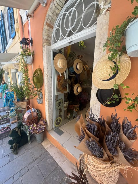 Corfu: Dog Sightseeing Tour - Meeting Point and Logistics