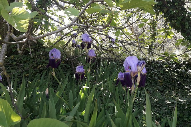 Corfu from Above: Hiking at the Highest Peak of Corfu - Small Group Experience and Personal Attention