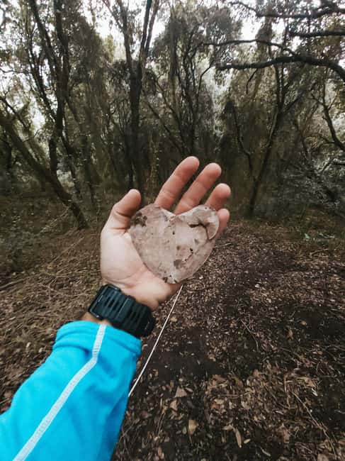 Corfu: Guided Hiking Tour of Arkoudilas Beach and Forests - Visiting Mischopoulos Man-made Lake