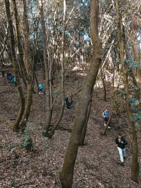 Corfu: Guided Hiking Tour of Arkoudilas Beach and Forests - Practical Details and What’s Included
