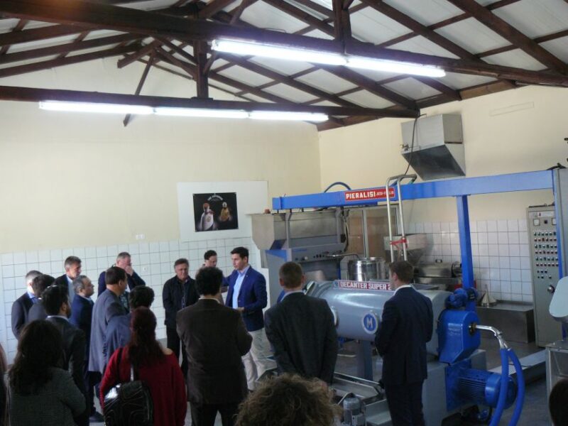 Corfu: Olive Oil Experience - The Governor's Olive Mill - Key Points