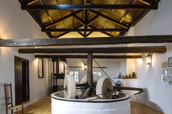 Corfu Organic Olive Oil Tasting at Family Farm - Learning About Greek Olive Cultivation and Harvesting