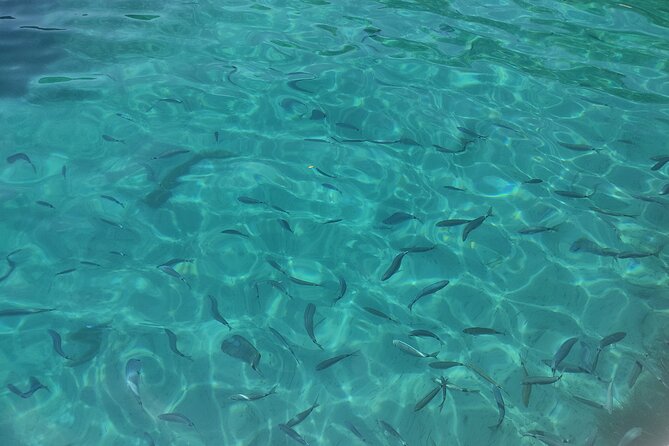 Corfu Private Boat Tour - Key Points