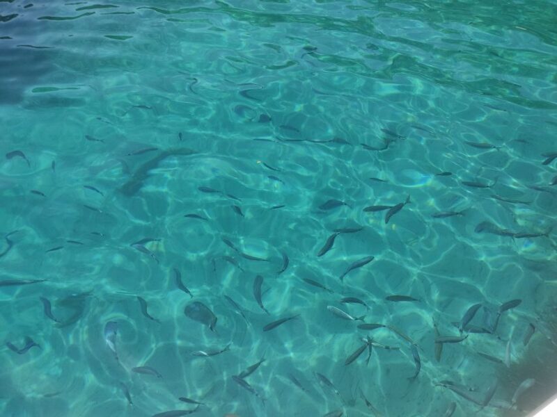 Corfu: Private Boat Tour - Practical Considerations and Tips